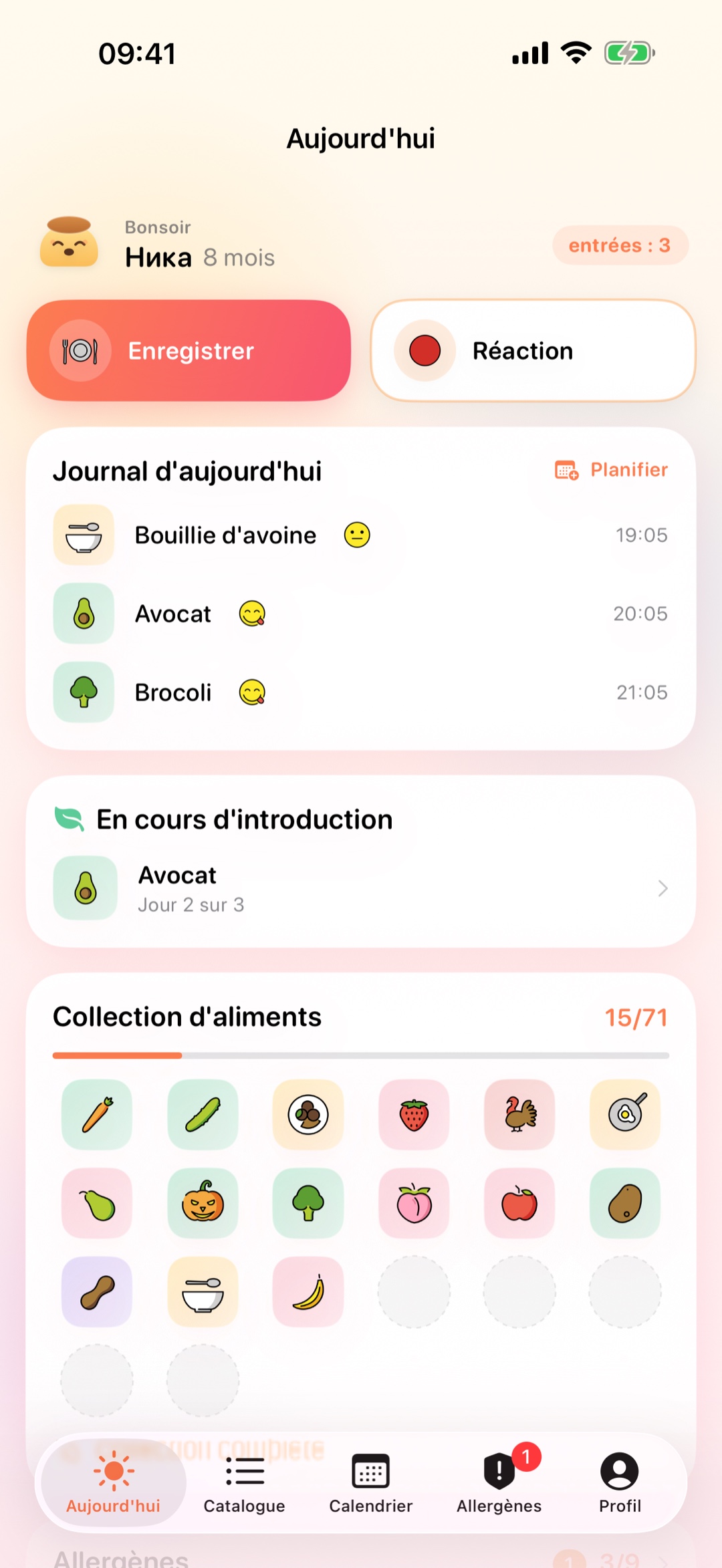 Écran d'accueil de Pudding : le carnet du jour et la collection d'aliments